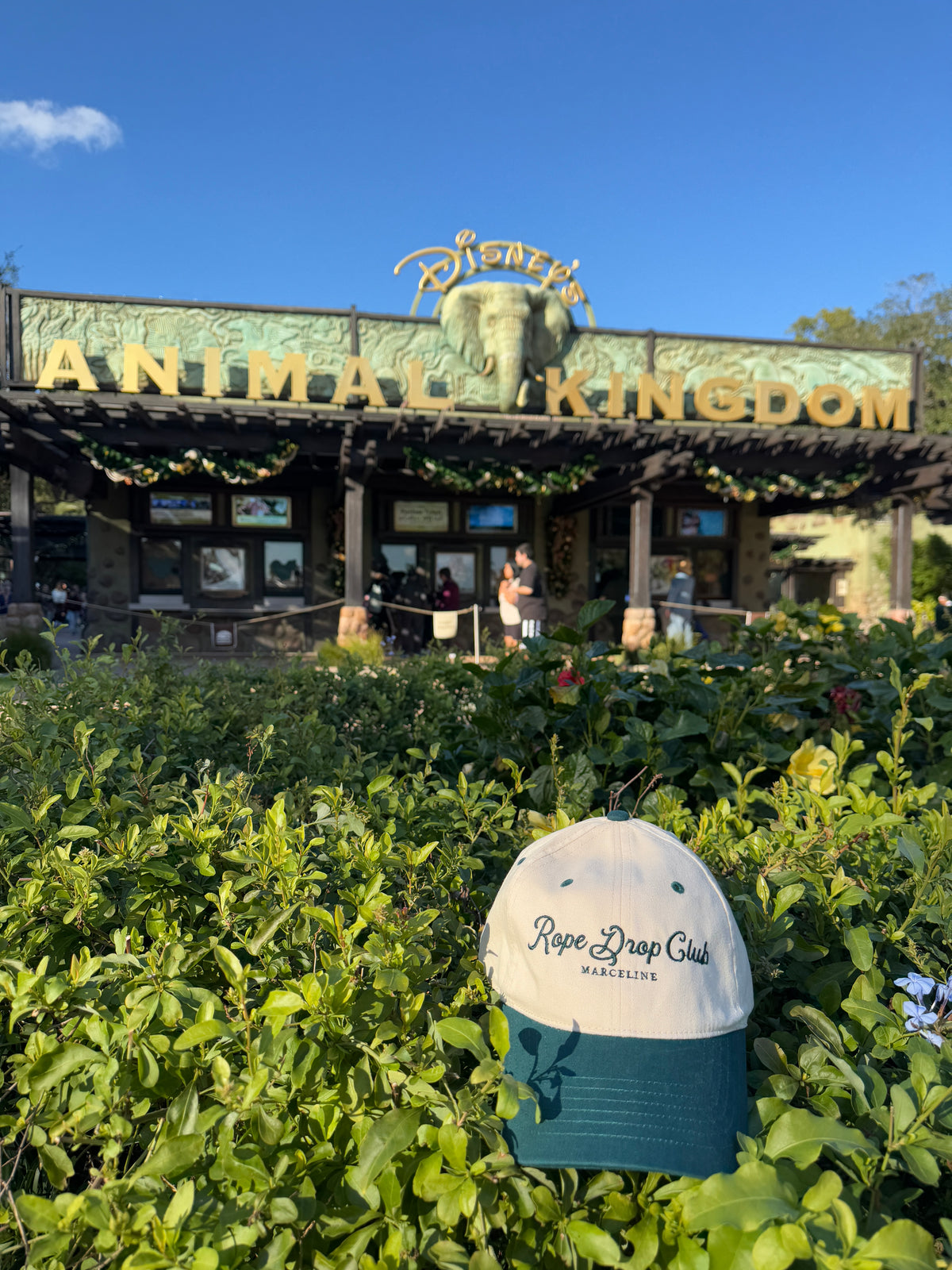 Two-Tone Rope Drop Club Dad Hat